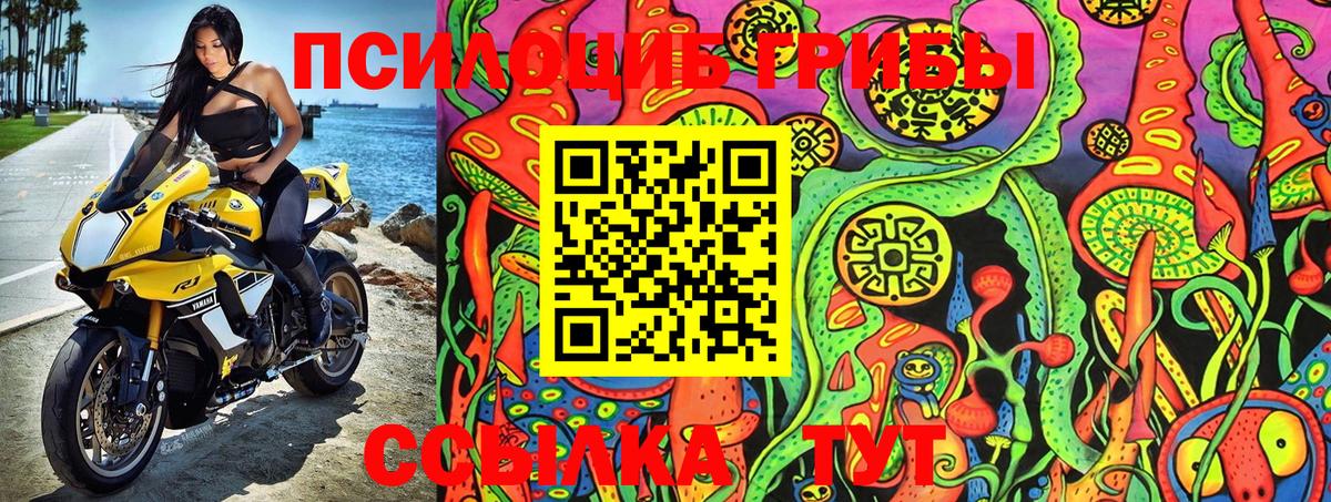 Галлюциногенные грибы MAGIC MUSHROOMS Советская Гавань