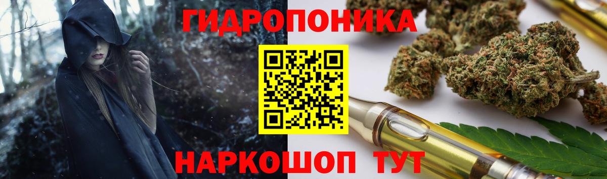 Конопля OG Kush Советская Гавань